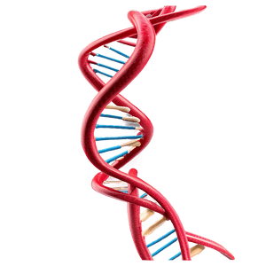 DNA Helix Model PNG kbe9 PNG image with transparent background
