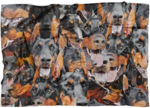 Doberman Montage Blanket PNG Image