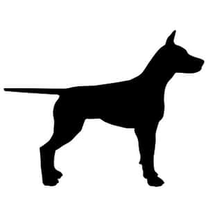 Doberman Silhouette PNG image with transparent background