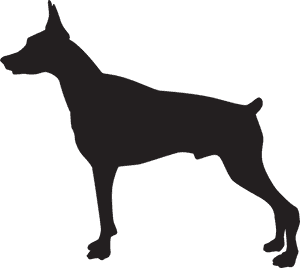 Dobermann Rottweiler German Shepherd Pit Bull German, HD Png Download PNG image with transparent background