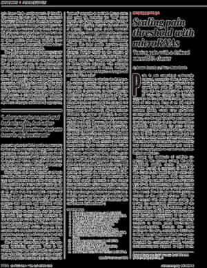 Document, HD Png Download PNG image with transparent background