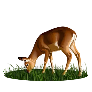 Doe Grazing Grass Png Vej PNG Image