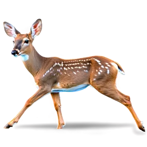 Doe Running Fast Png 68 PNG Image