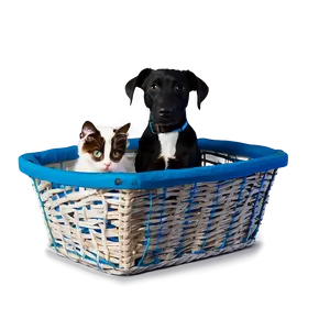 Dog And Cat In Basket Png Gva69 PNG Image