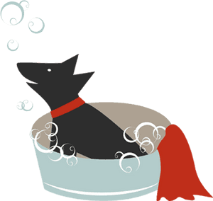 Dog Catches Something, HD Png Download PNG image with transparent background