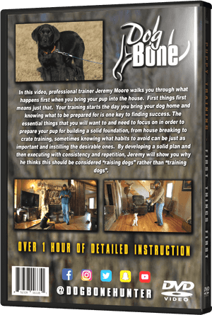 Flyer, HD Png Download PNG