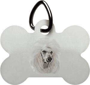 Custom Pet Art Dog Bone Pet Tag - Sublimation Dog Bone Keychain, HD Png Download PNG