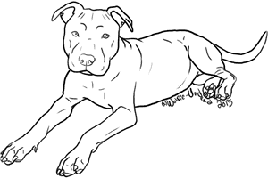 Dog Breed Puppy American Pit Bull Terrier - Outline Of A Pitbull, HD Png Download PNG image with transparent background