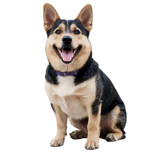 Dog Breed Transparent Png Wml PNG Image