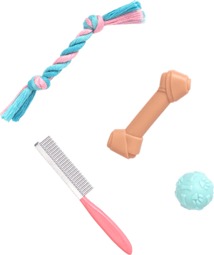Detail Of Dog Accessories - Brush, HD Png Download PNG