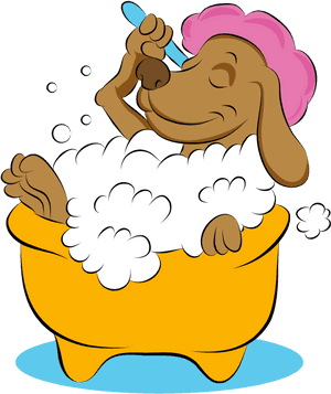 Dog, HD Png Download PNG image with transparent background