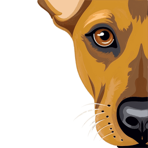 Dog Face Illustration PNG hjh PNG