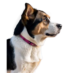 Dog Face Profile View Png Oyh33 PNG Image