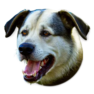 Dog Head Icon Png Rrh PNG Image