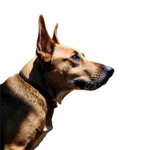 Dog Head Profile Png 06212024 PNG Image