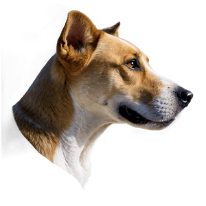Dog Head Profile PNG 10 PNG