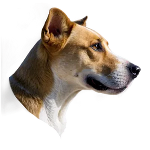 Dog Head Profile Png 10 PNG Image