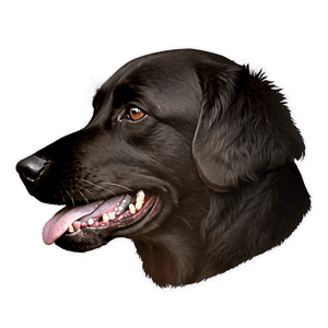 Dog Head Silhouette PNG wso72 PNG