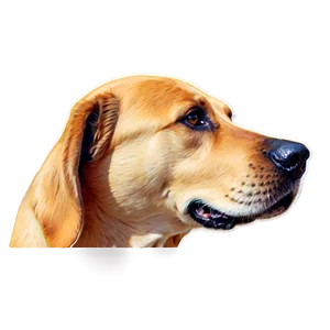 Dog Head Sketch Png Nqp PNG Image