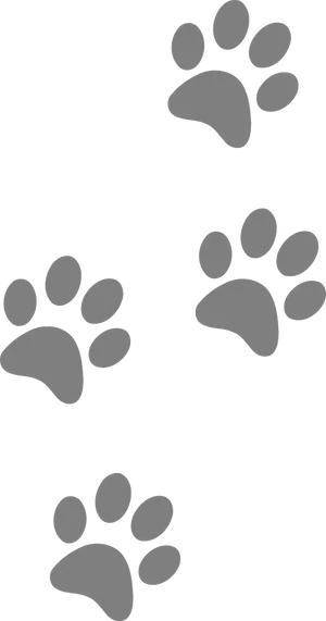 Dog Paw Prints Vector Illustration PNG Image