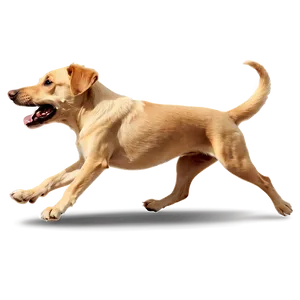 Dog Running Action Png 76 PNG Image