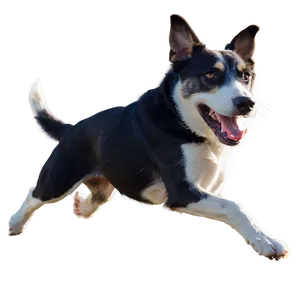 Dog Running Action Png Opx PNG Image