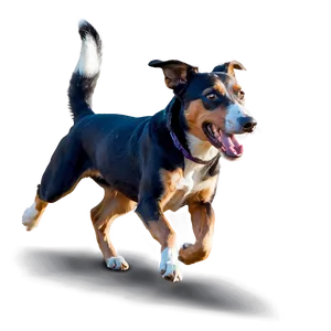 Dog Running Action Png Wtj69 PNG Image