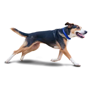 Dog Running Side View Png Fsp34 PNG Image