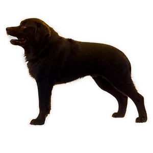 Dog Silhouette Outline Png 69 PNG Image