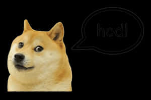 Doge Hodl Meme PNG image with transparent background