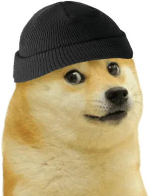 Doge In Beanie Meme.jpg PNG Image