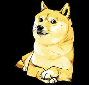 Doge Meme Classic Illustration PNG image with transparent background