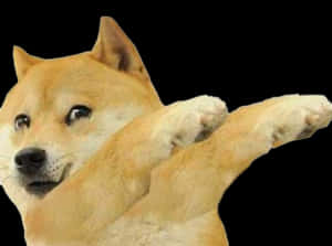 Doge_ Meme_ Dabbing_ Pose PNG image with transparent background