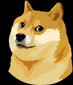 Doge Meme Portrait PNG image with transparent background
