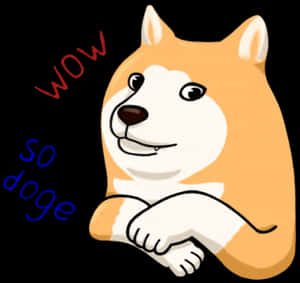 Doge Meme Wow So Doge PNG image with transparent background