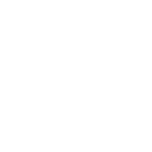 Dogecoin Logo Graphic PNG image with transparent background