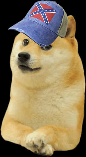 Doge_with_ Confederate_ Cap PNG image with transparent background