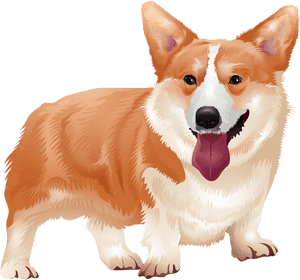 Dogs Vector Corgi, HD Png Download PNG image with transparent background