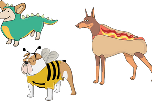 Halloween Pirate Dog, Halloween Clipart, Pirate, Skeleton - Cartoon Dog With Halloween Costume, HD Png Download PNG