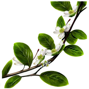 Dogwood Branches Png Tbt PNG Image