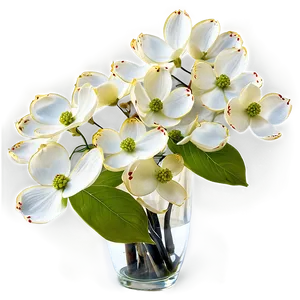 Dogwood In Vase Png Mbh2 PNG Image