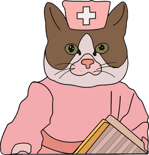 Domestic Short-haired Cat, HD Png Download PNG image with transparent background