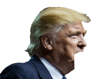 Donald Trump Fear, HD Png Download PNG image with transparent background