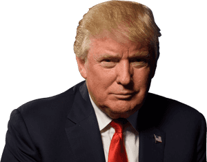 Donald Trump Png Image - Trump Will Lose 2020, Transparent Png PNG image with transparent background
