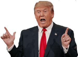 Donald Trump Png, Transparent Png PNG image with transparent background
