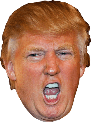 Donald Trump The Apprentice President Of The United - Trump Head, HD Png Download PNG image with transparent background