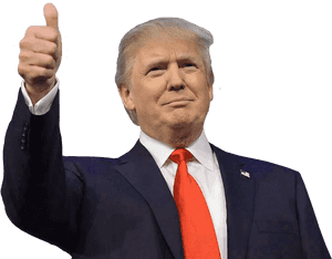 Donald Trump Thumb Up - Donald Trump Png, Transparent Png PNG image with transparent background