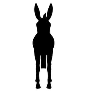 Donkey Silhouette Graphic PNG image with transparent background
