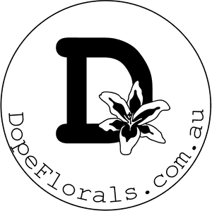 Melbourne, HD Png Download PNG image with transparent background