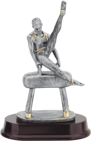 Double Action Resin Trophy For Males Competing In Gymnastics - Gymnastic Trophies For Men, HD Png Download PNG image with transparent background